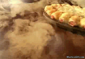 funny-gifs-behbies