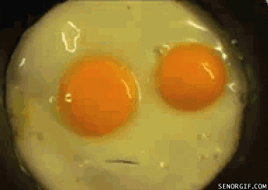 gifs animés culinaires weird this is your brain on drugs