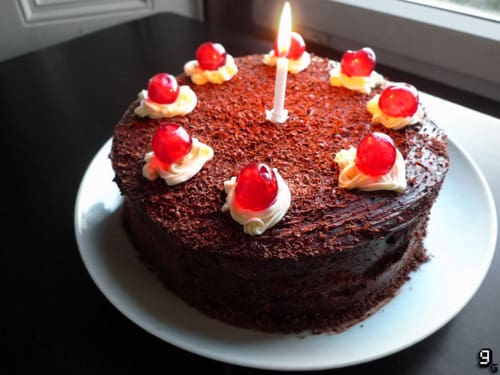 tumblr_lm4sfp9Q1k1qjhjgyo1_r2_500