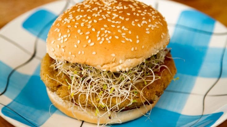Burger aux lentilles