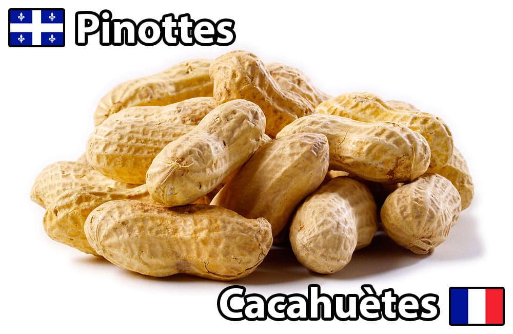 termes culinaires québec france pinottes vs cacahuètes