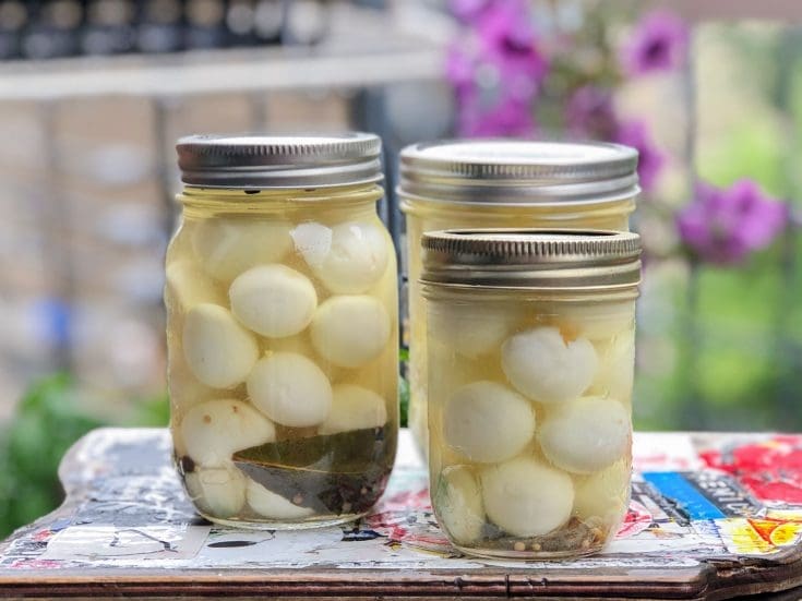 Oeufs de caille dans le vinaigre