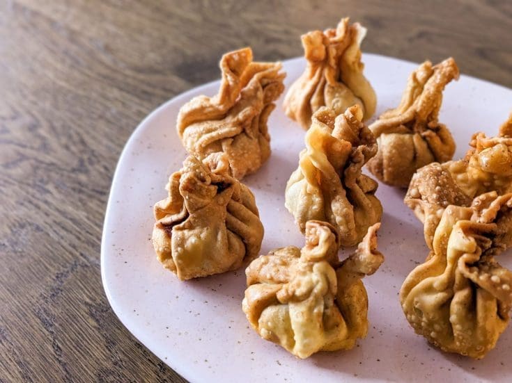 Won ton frits au porc