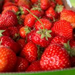 10 recettes avec des fraises du Québec