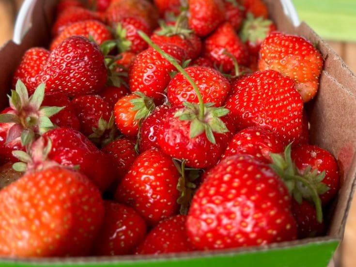 Compote de fraises maison
