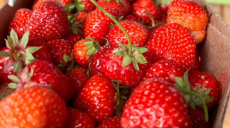 10 recettes avec des fraises du Québec