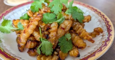 Frites Général Tao