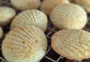 Madeleines classiques