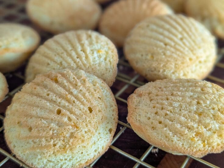 Madeleines classiques